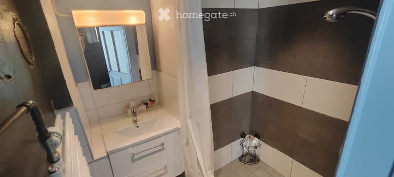 APPART DARTISTE MEUBLE PROCHE CENTREVILLE/LAC PARC Z. BLEU (6)