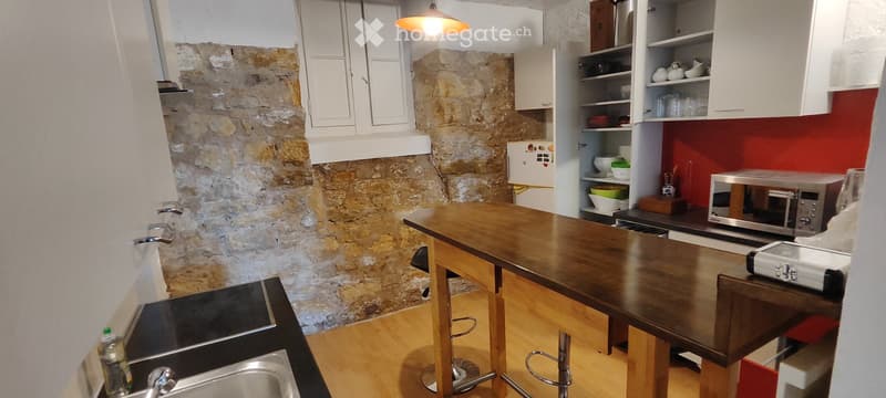 APPART DARTISTE MEUBLE PROCHE CENTREVILLE/LAC PARC Z. BLEU (2)