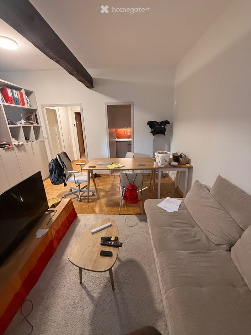Studio 1,5 pièce à louer Quartier Champel (5)