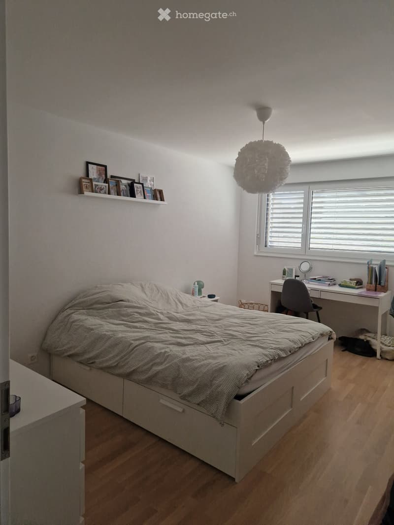 Recherche colocataire (5)