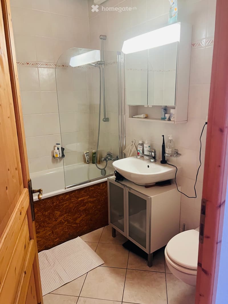 Reprise de bail Loft (81 m²) avec place de parc Carouge (4)