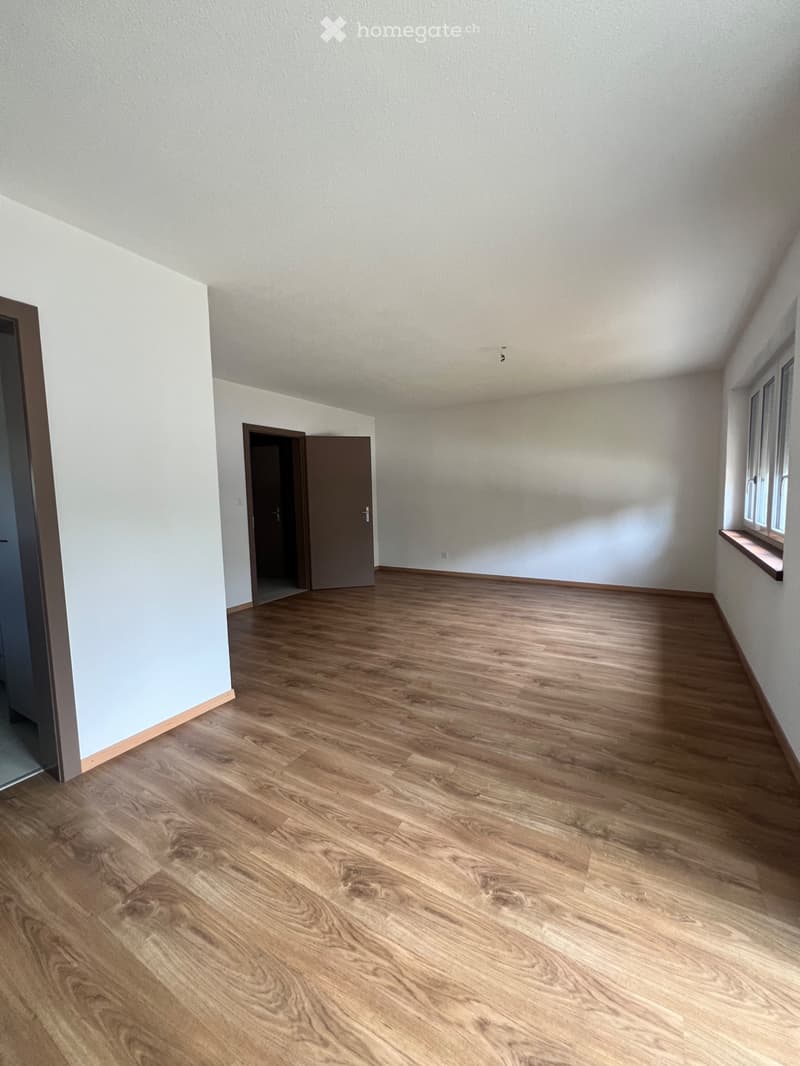 Komplett renovierte Wohnung - Zumholz (3)