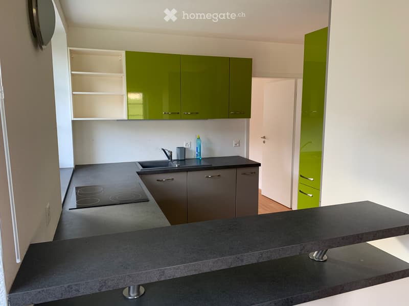 4.5-Zimmer-Wohnung im Grünen (4)