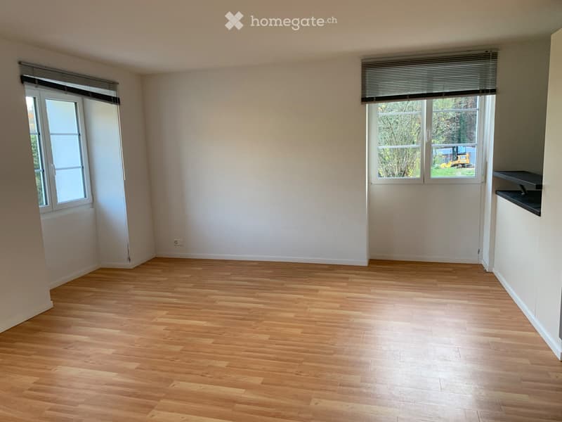 4.5-Zimmer-Wohnung im Grünen (5)