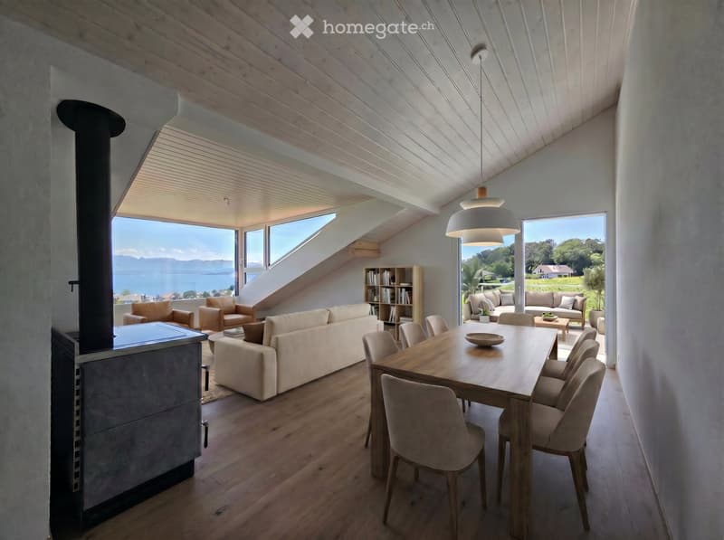 Appartement attique d'exception (3)