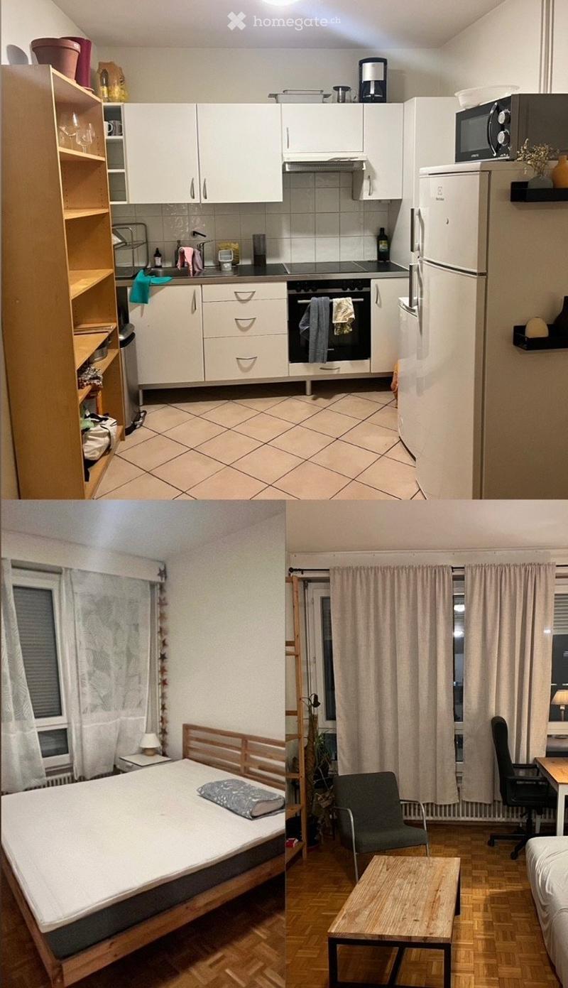 LEASE TAKE OVER - Apartment1205 Genève Rue Charles-Humbert (1)