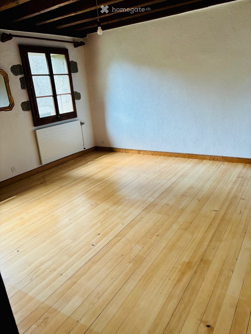 chambre-s à louer dans magnifique maison (1)
