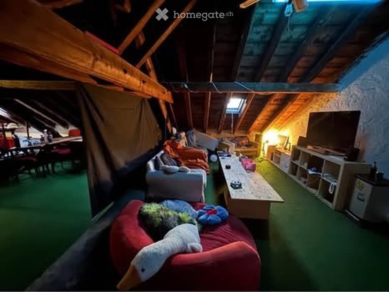 grande chambre dans une grande coloc de 7 personnes (3)