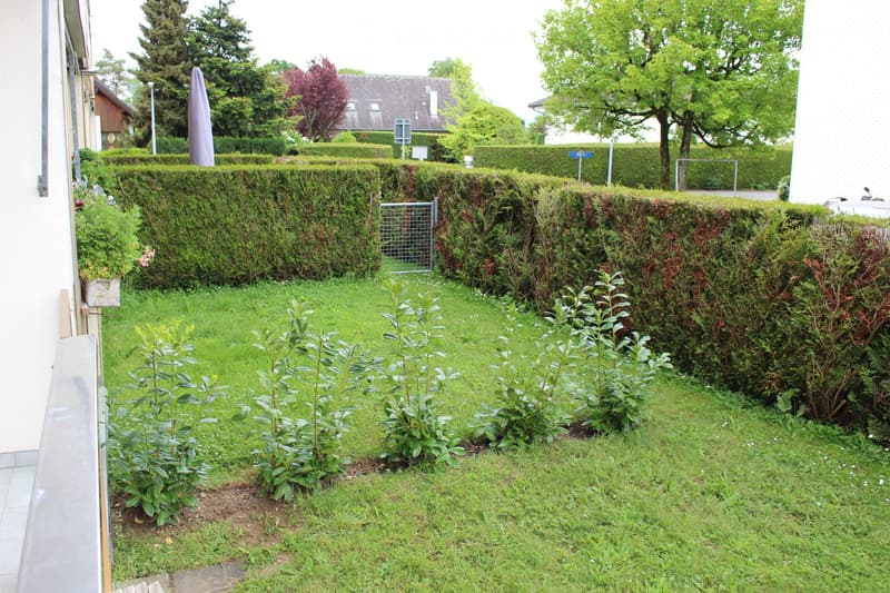 Prangins (Nyon) 3.5 pièces avec petit jardin (5)