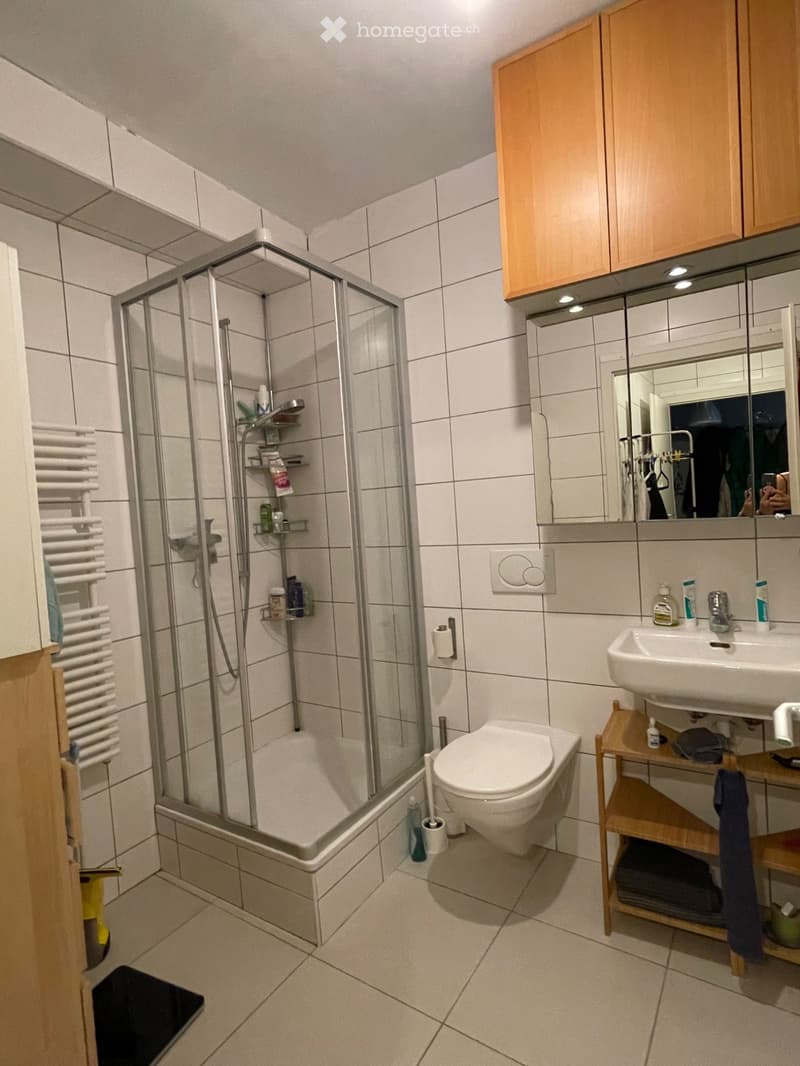 A louer, Belle chambre ("loft") meublée, 45m2, à Grandvaux (9)