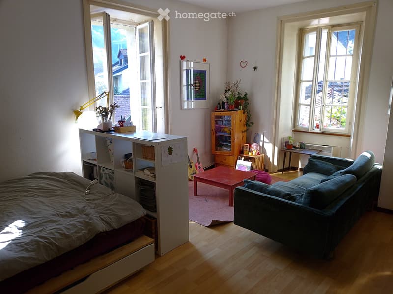 Grand 2 pièces en basse-ville Fribourg (4)