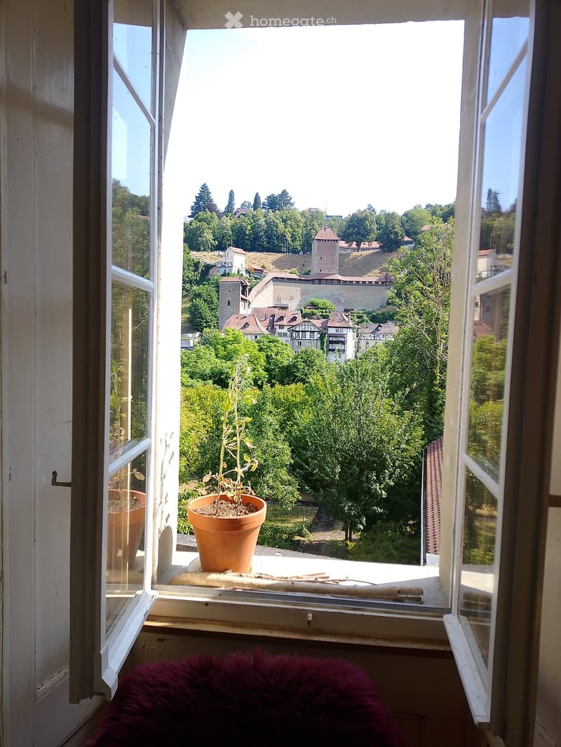 Grand 2 pièces en basse-ville Fribourg (5)