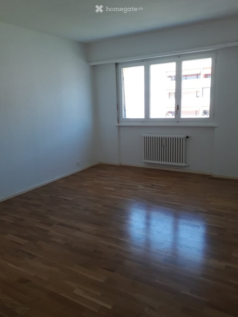 grand 2,5 pièces (5)