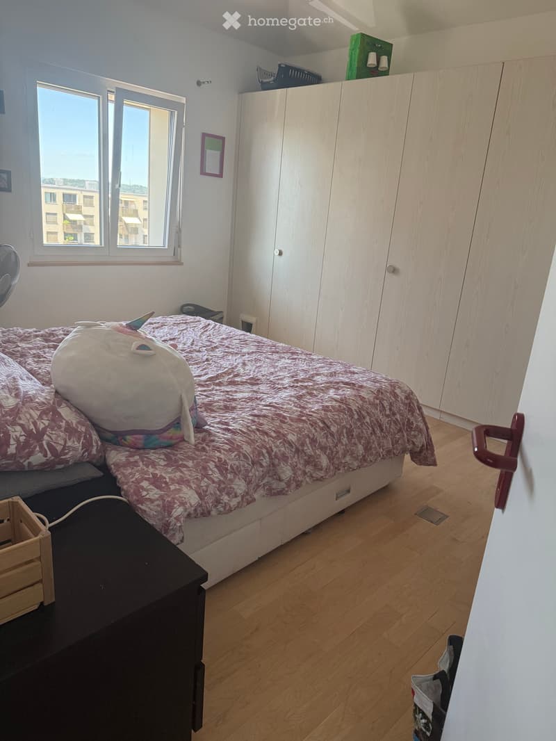 Bel appartement.de 4,5 pièces à louer dudingen (5)
