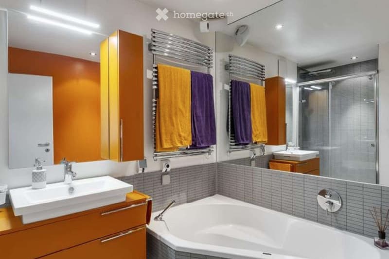 A vendre 3 pièces, Colombier (5)