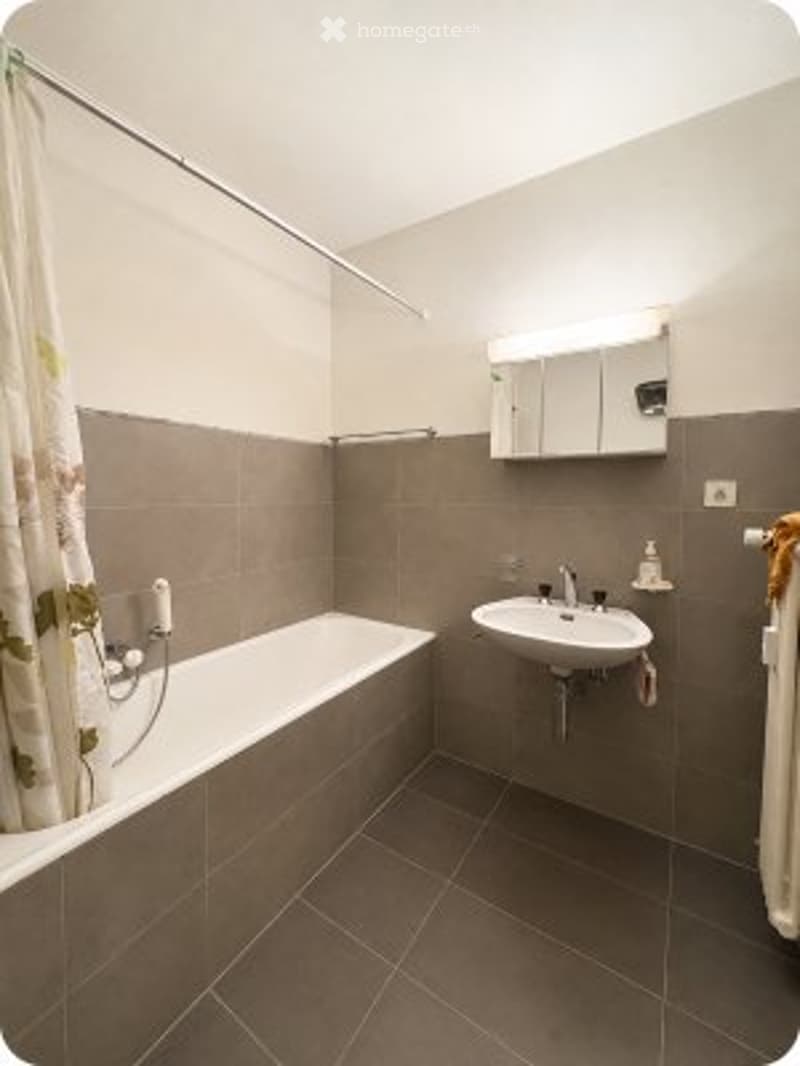 Appartement 1.5 pièces lumineux avec balcon plein sud (5)