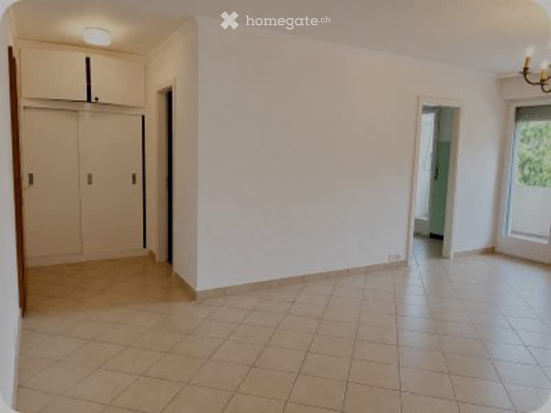 Appartement 1.5 pièces lumineux avec balcon plein sud (3)
