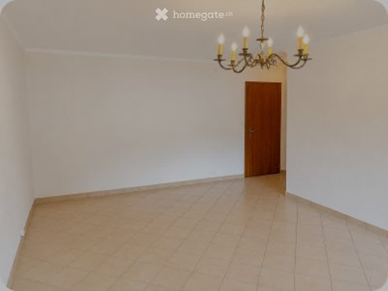 Appartement 1.5 pièces lumineux avec balcon plein sud (4)