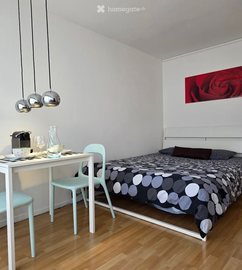 Logement meublé à Lausanne centre (5)