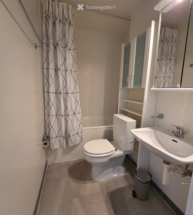 Logement meublé à Lausanne centre (4)