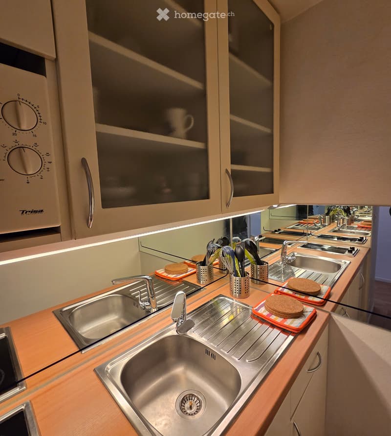 Logement meublé à Lausanne centre (3)