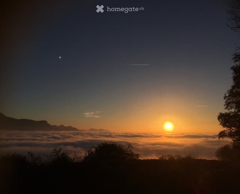Chambre en colocation au Mont-Pèlerin (4)