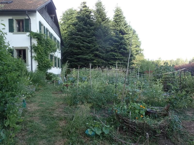 Chambre en colocation au Mont-Pèlerin (2)