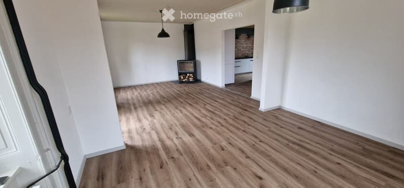Grand attique 122m² à louer- grande terrasse - (5)