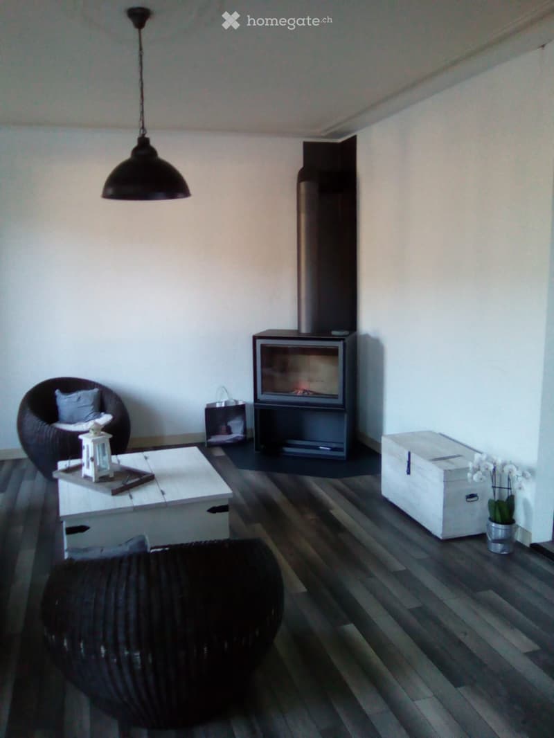 Grand attique 122m² à louer- grande terrasse - (4)