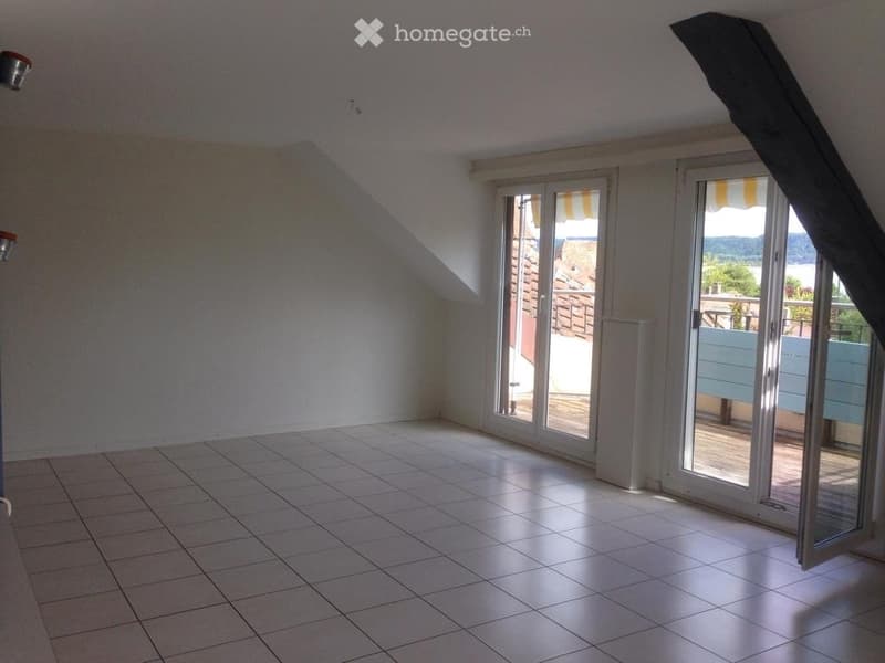 Joli appartement mansardé (1)