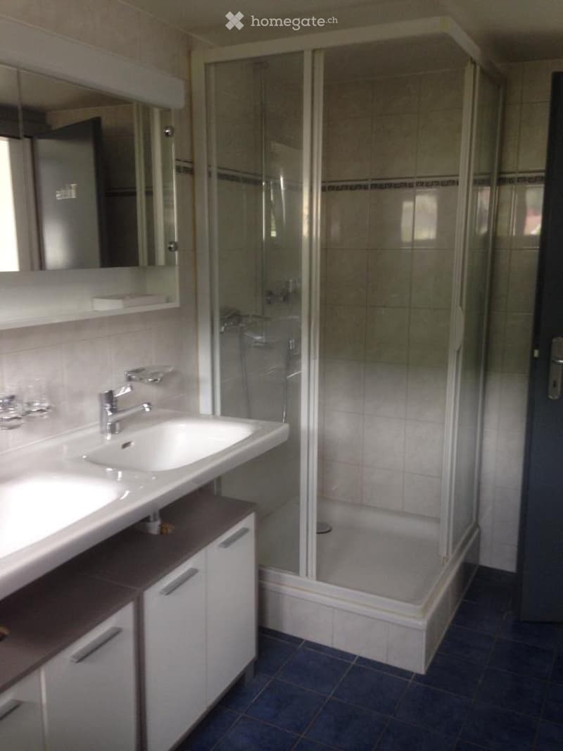 Joli appartement mansardé (3)