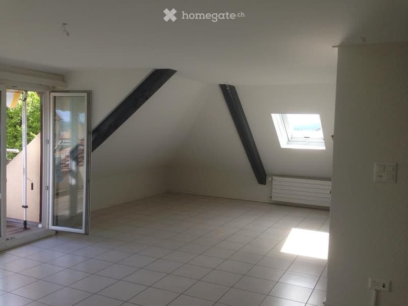 Joli appartement mansardé (4)