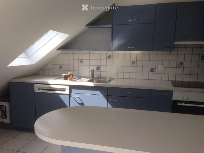 Joli appartement mansardé (2)