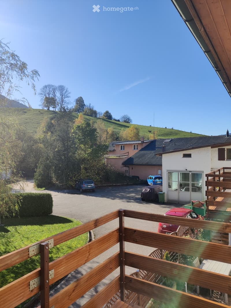 Joli appartement 2,5 pièces (5)
