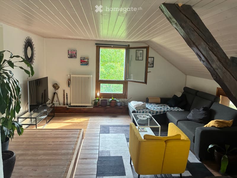 Appartement à louer (1)