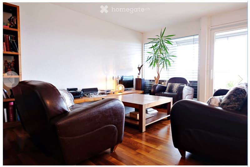 Magnifique appartement à Bussigny avec vue dégagée (2)