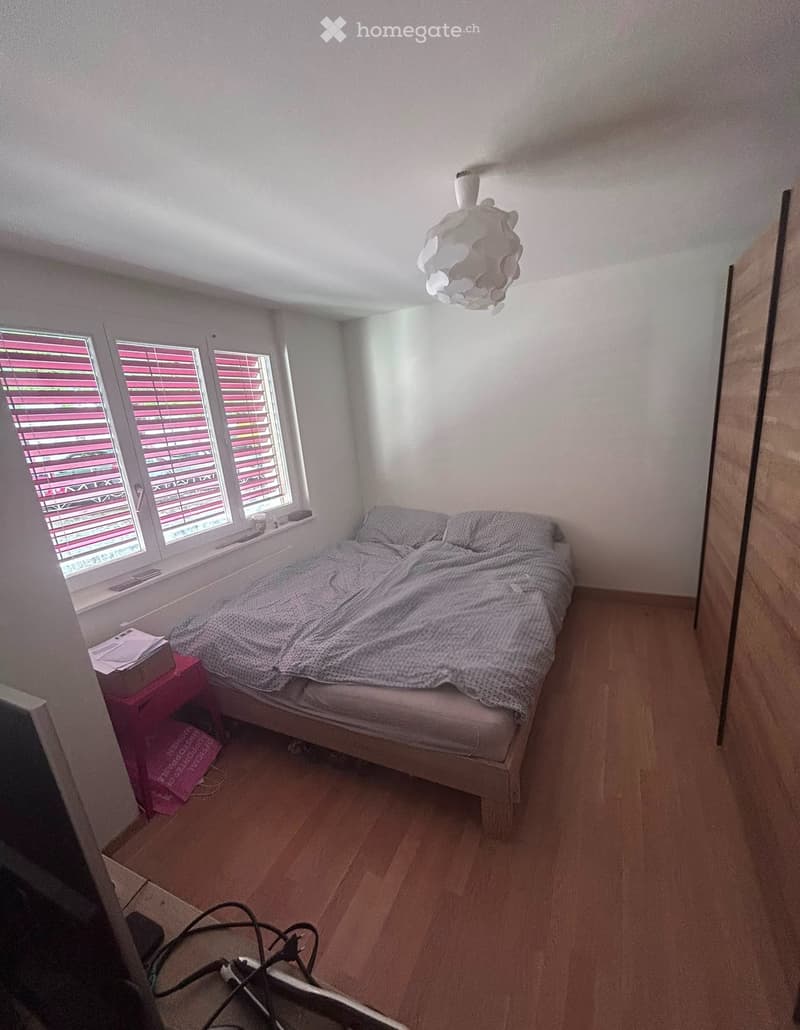 Très Joli Appartement avec Vue Lac - Au calme à Territet (4)