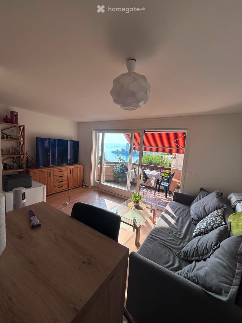 Très Joli Appartement avec Vue Lac - Au calme à Territet (2)