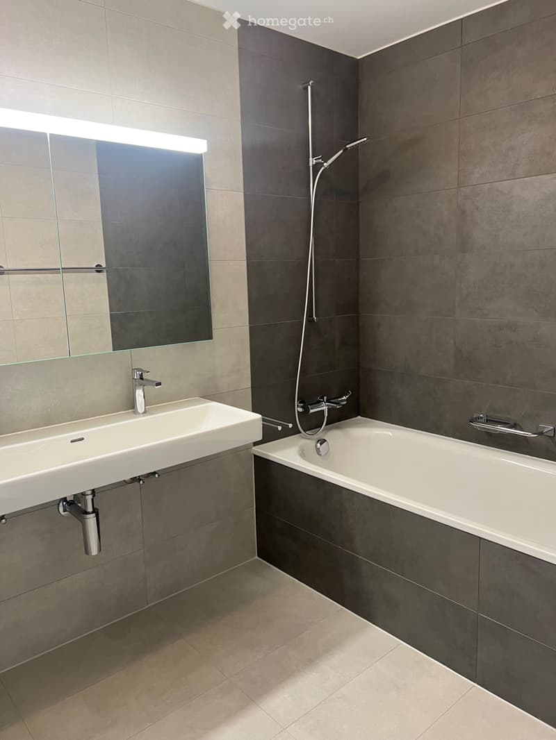 Magnifique appartement neuf 4.5 pces Bulle (4)