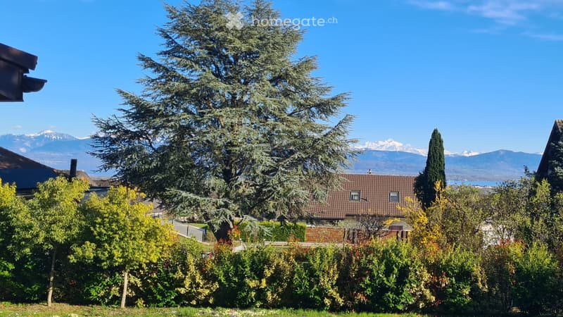 Belle maison récemment rénovée de 8.5 pcs avec grand jardin (2)