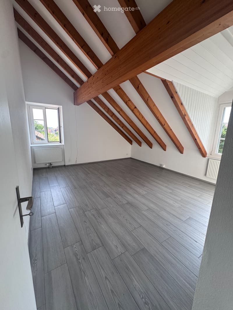 3.5 pièces avec cachet rénové Boussens (5)