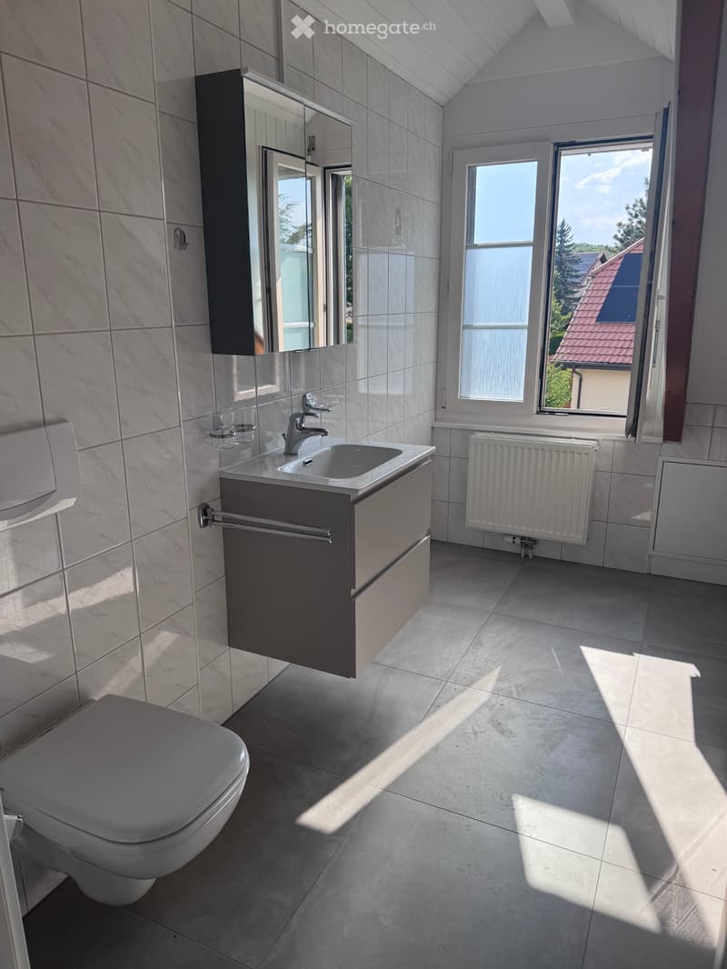 3.5 pièces avec cachet rénové Boussens (4)