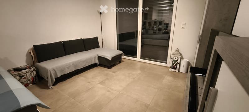 Appartement 1.5 pièces au 1er étage (4)