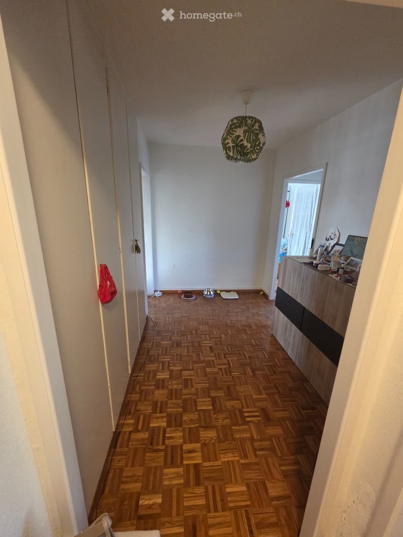 Appartement à La Tour-de-Peilz (4)