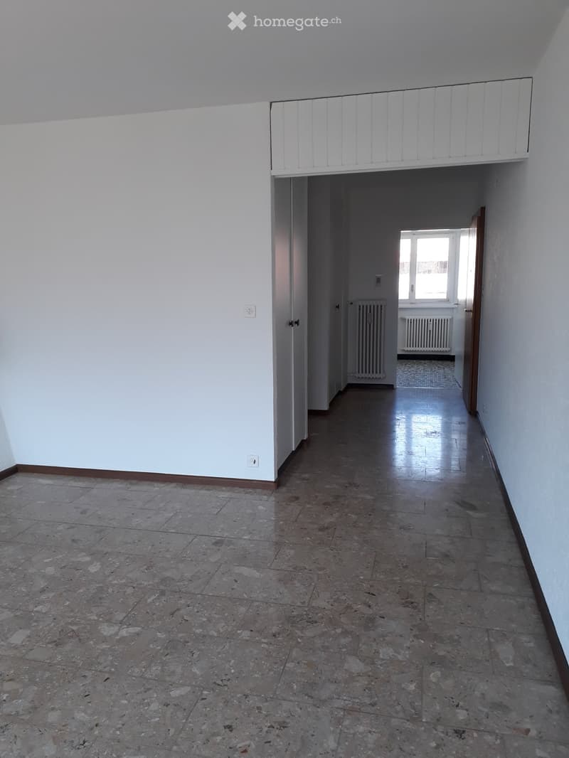 grand 2,5 pièces (3)