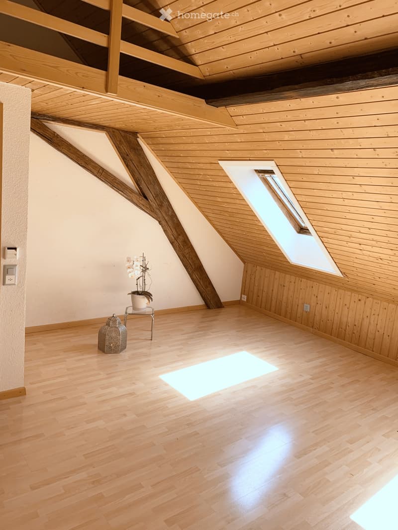 Charmant appartement mansardé proche de la nature (2)