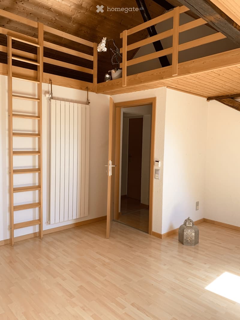 Charmant appartement mansardé proche de la nature (4)
