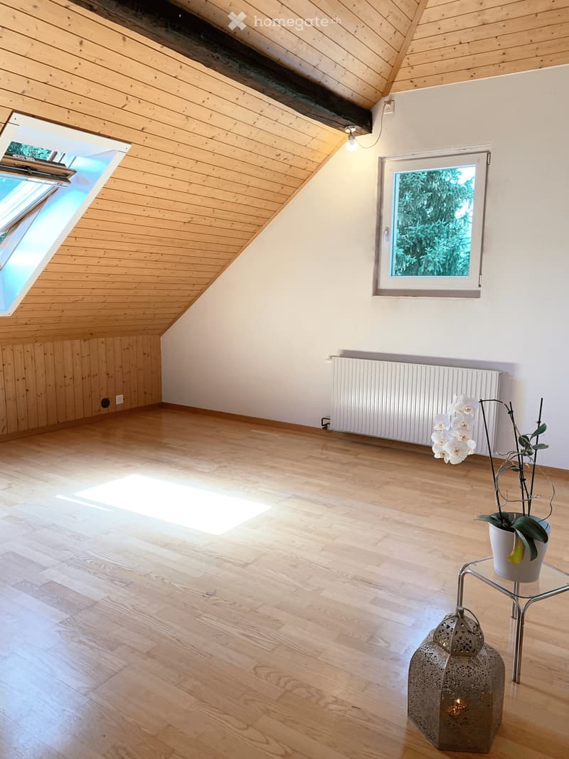 Charmant appartement mansardé proche de la nature (1)