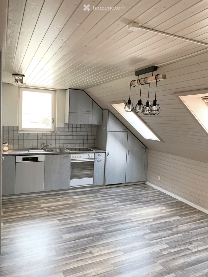 Charmant appartement mansardé proche de la nature (3)
