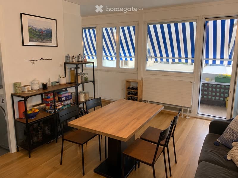 4 pièces Eaux-Vives | Balcon 10 m² | Vue Jet dEau (4)